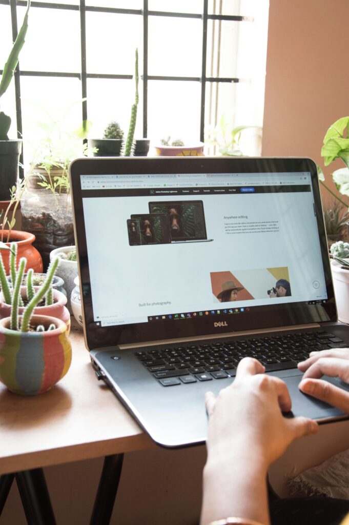 Web development