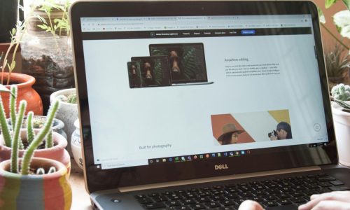 pexels-ravikant-4533596 Web development